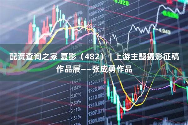 配资查询之家 夏影（482） | 上游主题摄影征稿作品展——张成勇作品